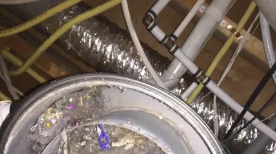 Central Vac Cleaning