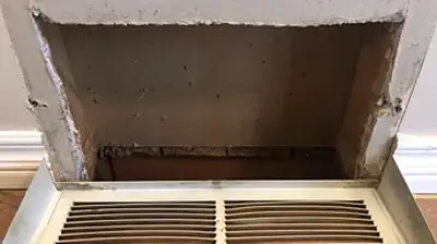 Duct Cleaning After Photo